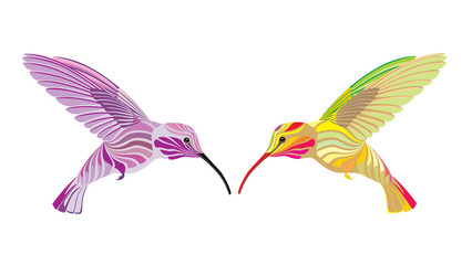 two hummingbird