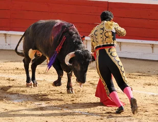 Foto op Plexiglas Stierenvechten Bull &amp  Matador