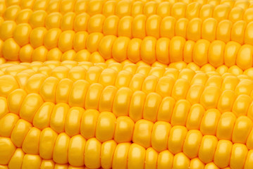 Maiskolben-Detail 313