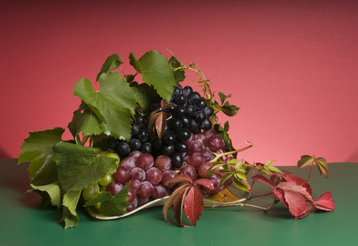 Multicolor grape food