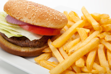 Hamburger and fries