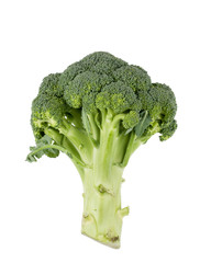 Broccoli  raw food isolated over white background.