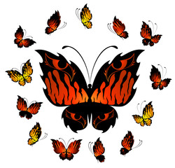 set of tropical butterflies on a white background for a design