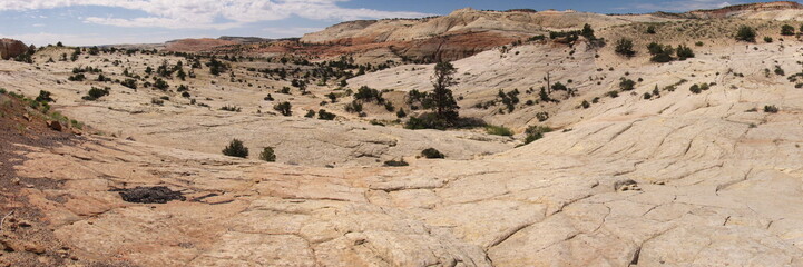 desert of stone in united states