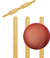 cricket stumps