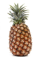 Fototapeta premium ananas