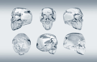 glass skull