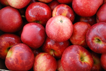 Fototapeta na wymiar Fresh Red Apples