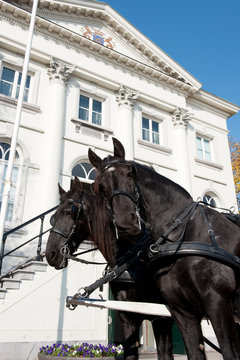 Wedding with a coach