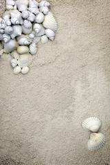 Fototapeta na wymiar Seashell stationary background in soft off white sand