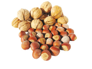 walnuts and forest nuts