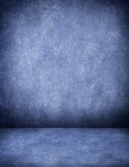 interior of blue paint house