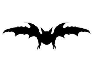Fledermaus