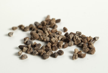 fenugreek; Bockshornklee