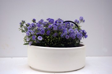 ekibana with flowers