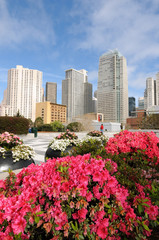 Fototapeta premium Downtown San Francisco