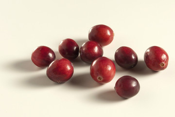 cranberries; Kranbeere ; Moosbeere