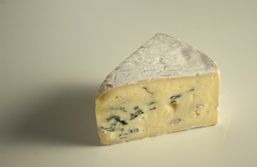 Mold cheese; Schimmelkäse; Bavariablue