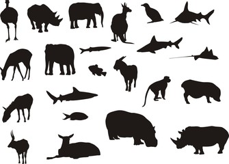 Siluetas 0202 © Parato