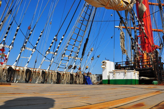sedov