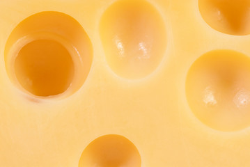 Piece of tasty cheese