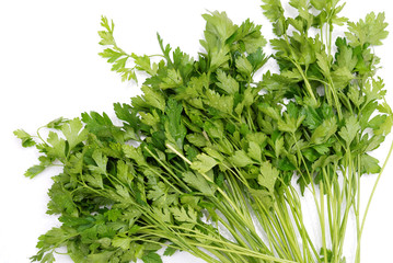parsley on white background