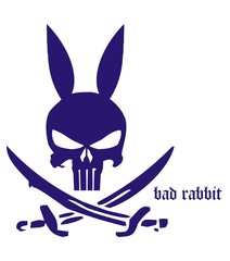 Pirate rabbit