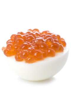 Red caviar with egg macro