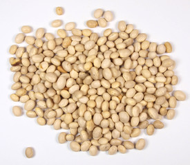 haricot beans heap isolated on white