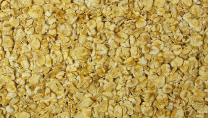 Oat flakes background