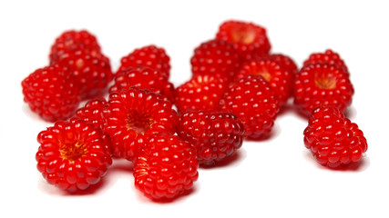 Raspberries isolated on white