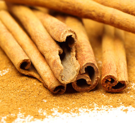 Cinnamon powder and sticks isolated on white