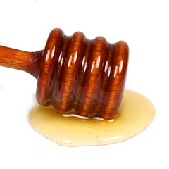 Honey dripper isolated on white