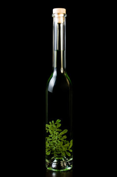 Bottle of croatia vodka, rakija with flower inside