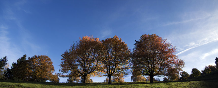 Herbst&uuml;panorama