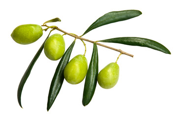 green olives