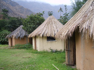 Selva Campamento