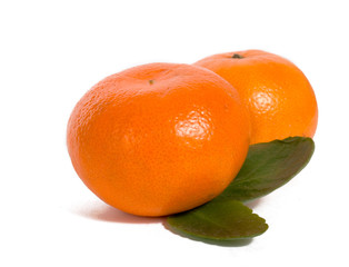 mabdarins