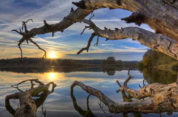 Am Mindelsee