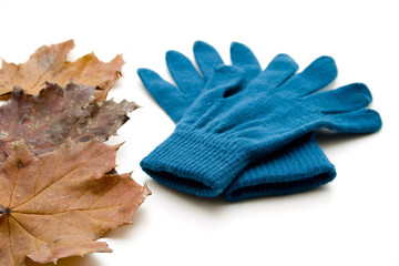 Blaue Handschuhe und Blätter
