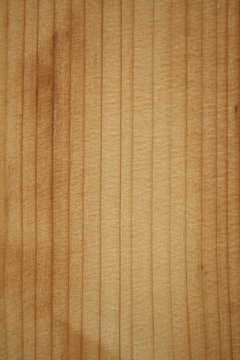 Finished pine timber texture