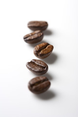 コーヒー豆