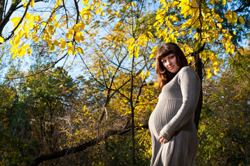 Pregnant woman in autumn park