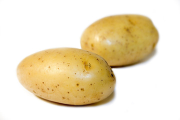 Potato