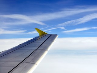 Flug