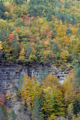 Paisaje de ordesa en otoño