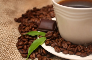 Coffee