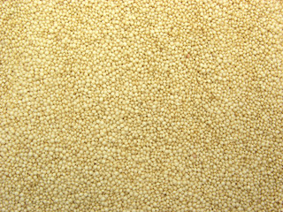 Amaranth als  Hintergrundbild