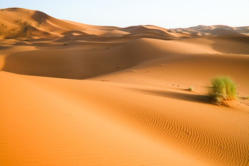 Fototapeta na wymiar Moroccan desert dune background