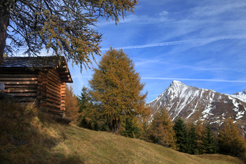 Alm im Herbst - mountain pasture in autumn